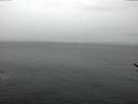 ./images/koeye/fitz-hugh/20170209/fitz-hugh20170209_100003.jpg