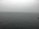 ./images/koeye/fitz-hugh/20170209/fitz-hugh20170209_112706.jpg