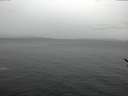 ./images/koeye/fitz-hugh/20170209/fitz-hugh20170209_115707.jpg