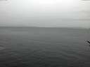 ./images/koeye/fitz-hugh/20170209/fitz-hugh20170209_120002.jpg