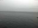./images/koeye/fitz-hugh/20170209/fitz-hugh20170209_121207.jpg