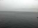 ./images/koeye/fitz-hugh/20170209/fitz-hugh20170209_121502.jpg