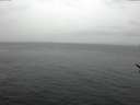./images/koeye/fitz-hugh/20170209/fitz-hugh20170209_121803.jpg