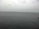 ./images/koeye/fitz-hugh/20170209/fitz-hugh20170209_122103.jpg