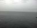 ./images/koeye/fitz-hugh/20170209/fitz-hugh20170209_122402.jpg