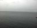 ./images/koeye/fitz-hugh/20170209/fitz-hugh20170209_122702.jpg