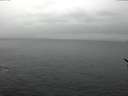 ./images/koeye/fitz-hugh/20170209/fitz-hugh20170209_125703.jpg