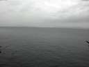 ./images/koeye/fitz-hugh/20170209/fitz-hugh20170209_132702.jpg