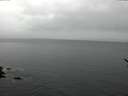 ./images/koeye/fitz-hugh/20170209/fitz-hugh20170209_135703.jpg