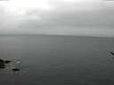 ./images/koeye/fitz-hugh/20170209/fitz-hugh20170209_140001.jpg