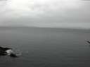 ./images/koeye/fitz-hugh/20170209/fitz-hugh20170209_142703.jpg