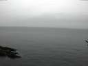 ./images/koeye/fitz-hugh/20170209/fitz-hugh20170209_145703.jpg