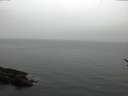 ./images/koeye/fitz-hugh/20170209/fitz-hugh20170209_152703.jpg