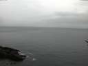 ./images/koeye/fitz-hugh/20170209/fitz-hugh20170209_155703.jpg