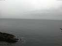 ./images/koeye/fitz-hugh/20170209/fitz-hugh20170209_160003.jpg