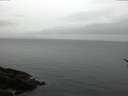 ./images/koeye/fitz-hugh/20170209/fitz-hugh20170209_162703.jpg