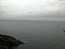 ./images/koeye/fitz-hugh/20170209/fitz-hugh20170209_165701.jpg