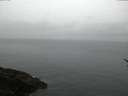 ./images/koeye/fitz-hugh/20170209/fitz-hugh20170209_175702.jpg
