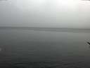 ./images/koeye/fitz-hugh/20170210/fitz-hugh20170210_115706.jpg