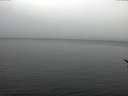 ./images/koeye/fitz-hugh/20170210/fitz-hugh20170210_120002.jpg