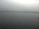 ./images/koeye/fitz-hugh/20170210/fitz-hugh20170210_121503.jpg
