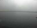./images/koeye/fitz-hugh/20170210/fitz-hugh20170210_121802.jpg