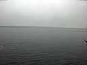 ./images/koeye/fitz-hugh/20170210/fitz-hugh20170210_122701.jpg
