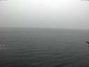 ./images/koeye/fitz-hugh/20170210/fitz-hugh20170210_132703.jpg