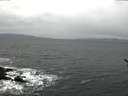 ./images/koeye/fitz-hugh/20170211/fitz-hugh20170211_095706.jpg