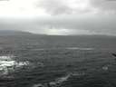 ./images/koeye/fitz-hugh/20170211/fitz-hugh20170211_122403.jpg