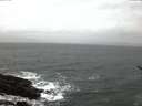 ./images/koeye/fitz-hugh/20170212/fitz-hugh20170212_072705.jpg
