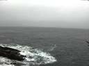 ./images/koeye/fitz-hugh/20170212/fitz-hugh20170212_085706.jpg