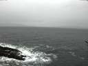 ./images/koeye/fitz-hugh/20170212/fitz-hugh20170212_092706.jpg