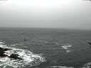 ./images/koeye/fitz-hugh/20170212/fitz-hugh20170212_102706.jpg