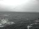 ./images/koeye/fitz-hugh/20170212/fitz-hugh20170212_115706.jpg