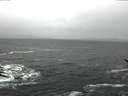 ./images/koeye/fitz-hugh/20170212/fitz-hugh20170212_120002.jpg