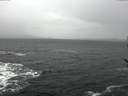 ./images/koeye/fitz-hugh/20170212/fitz-hugh20170212_121803.jpg