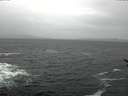 ./images/koeye/fitz-hugh/20170212/fitz-hugh20170212_122403.jpg