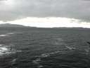 ./images/koeye/fitz-hugh/20170212/fitz-hugh20170212_135706.jpg