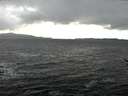 ./images/koeye/fitz-hugh/20170212/fitz-hugh20170212_145705.jpg