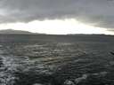 ./images/koeye/fitz-hugh/20170212/fitz-hugh20170212_152706.jpg