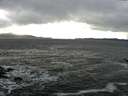 ./images/koeye/fitz-hugh/20170212/fitz-hugh20170212_155706.jpg