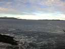 ./images/koeye/fitz-hugh/20170213/fitz-hugh20170213_095708.jpg