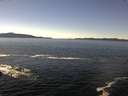 ./images/koeye/fitz-hugh/20170213/fitz-hugh20170213_125702.jpg