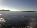 ./images/koeye/fitz-hugh/20170213/fitz-hugh20170213_142702.jpg