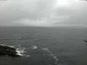 ./images/koeye/fitz-hugh/20170215/fitz-hugh20170215_072708.jpg