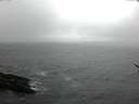 ./images/koeye/fitz-hugh/20170215/fitz-hugh20170215_080003.jpg