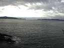 ./images/koeye/fitz-hugh/20170215/fitz-hugh20170215_115708.jpg