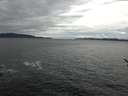 ./images/koeye/fitz-hugh/20170215/fitz-hugh20170215_155704.jpg