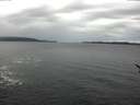 ./images/koeye/fitz-hugh/20170215/fitz-hugh20170215_162704.jpg